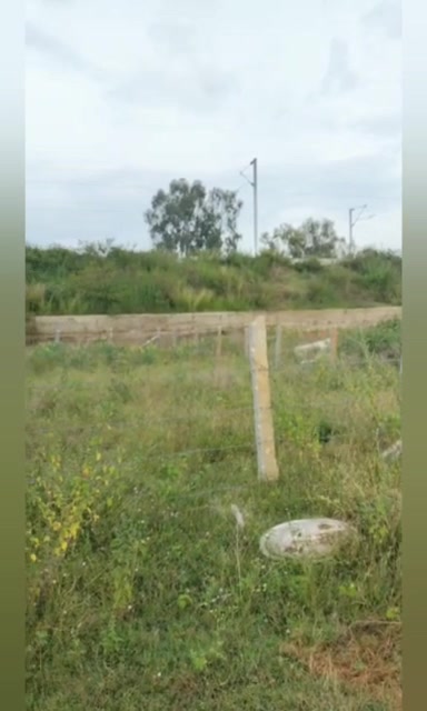 Plot For Sale  In Aradeshanahalli Gate