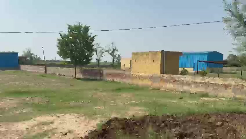 Plot For Sale  In Jewar 