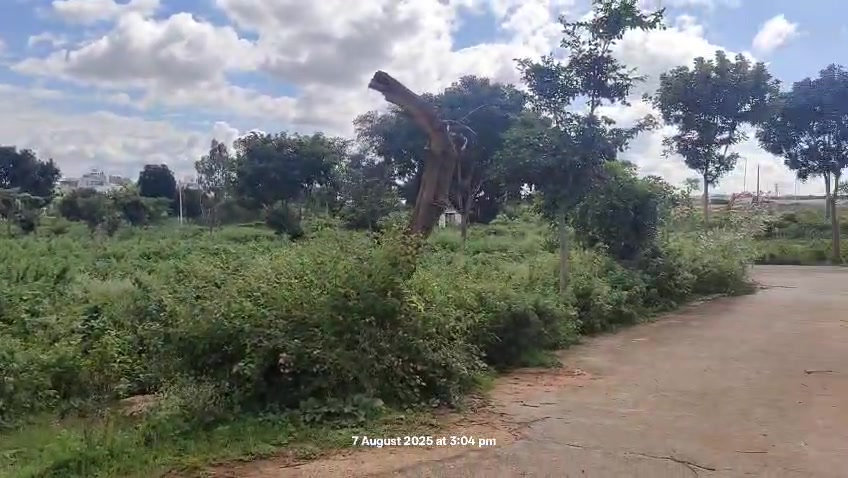 Plot For Sale  In Kns In Kns Anarva