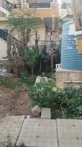 Plot For Sale  In Kadugodi