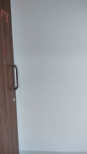 3 BHK Flat In Green County Phase 2 for Rent  In Fursungi