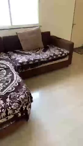 2 BHK Flat In Pristine Meadows for Rent  In Wagholi