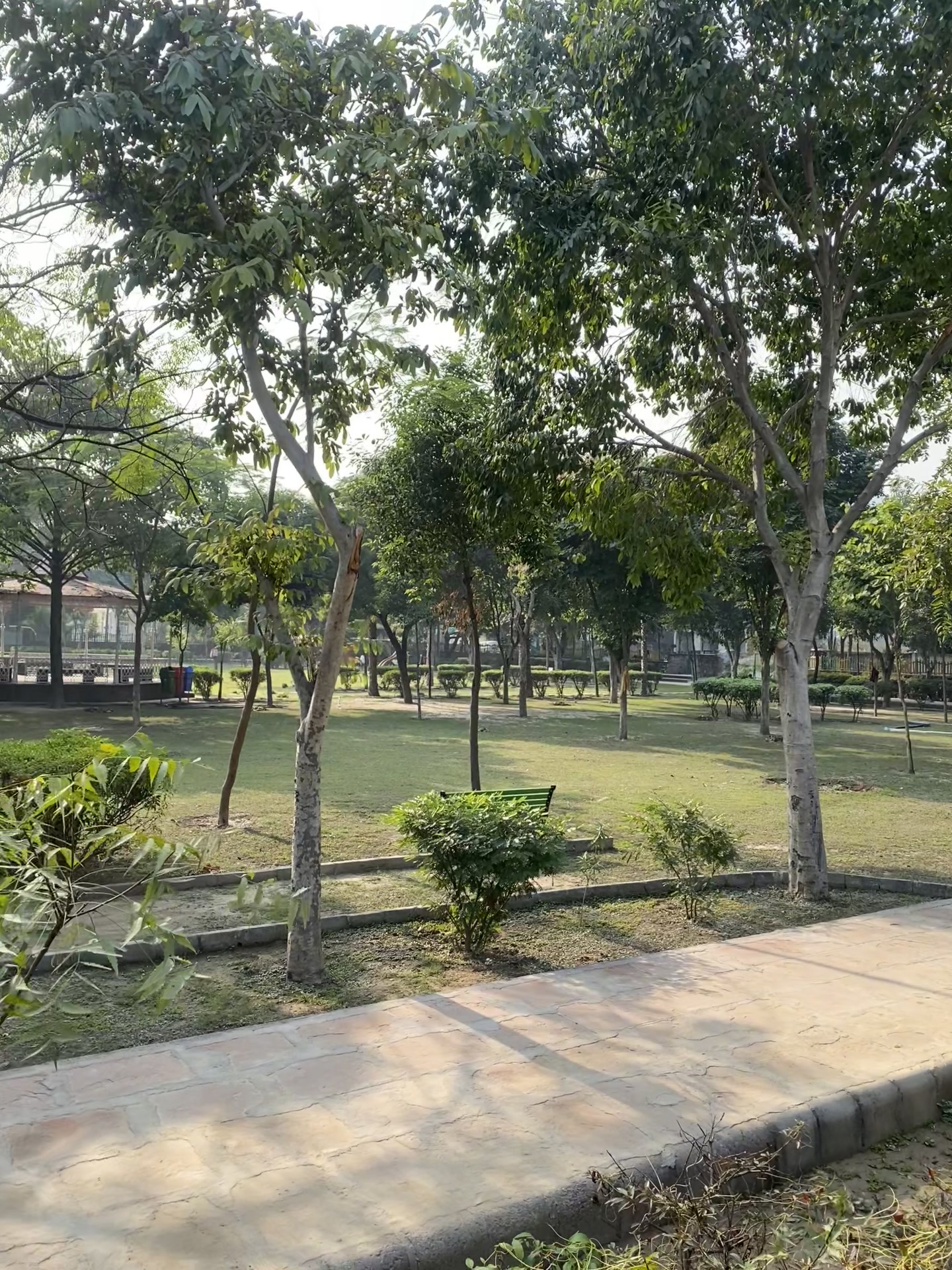 Plot For Sale  In Sector 44 Rwa In Sector 44