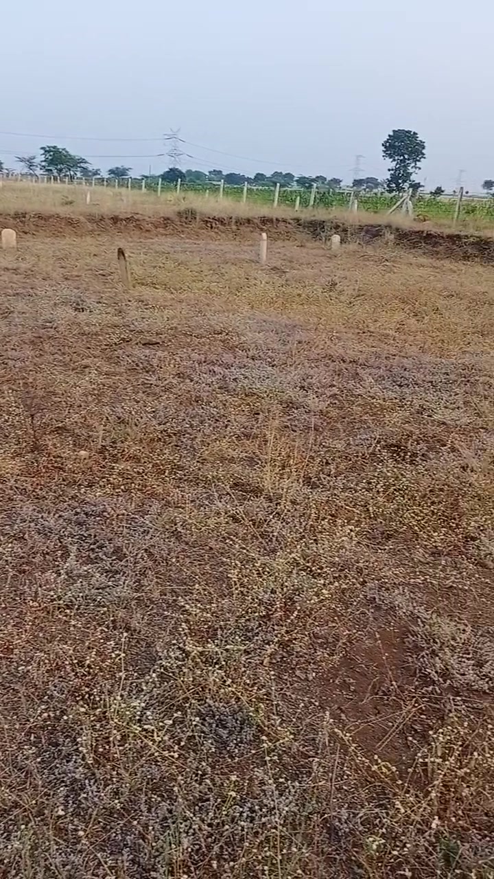 Plot For Sale  In Wagholi