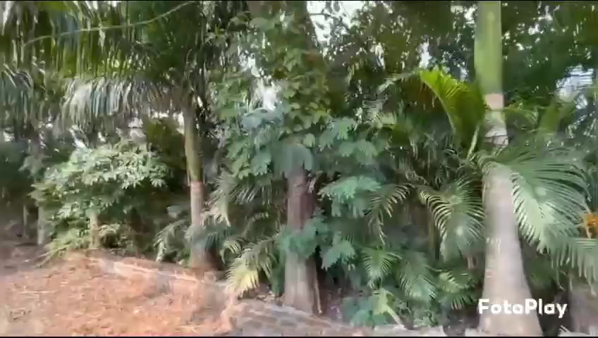 Plot For Sale  In Khedshivapur