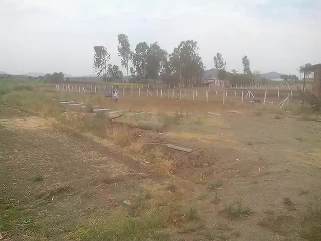 Plot For Sale  In Dhamne Road