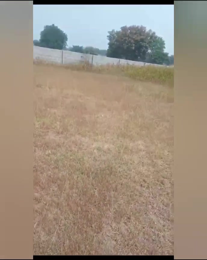 Plot For Sale  In Sukrithi Advika In Bhanur