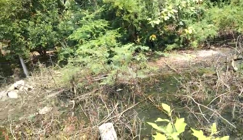 Plot For Sale  In Poonamallee