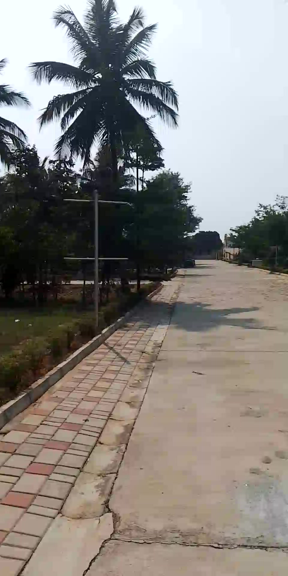 Plot For Sale  In Forest In My Backyard In Devanahalli