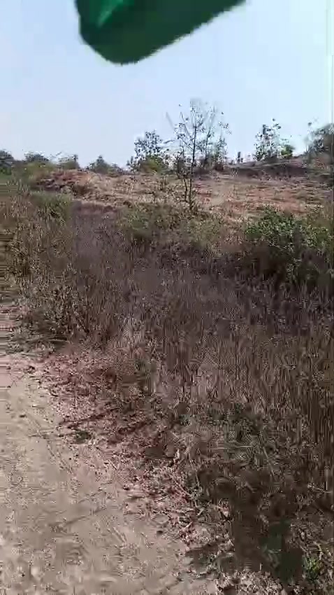 Plot For Sale  In Arjunali