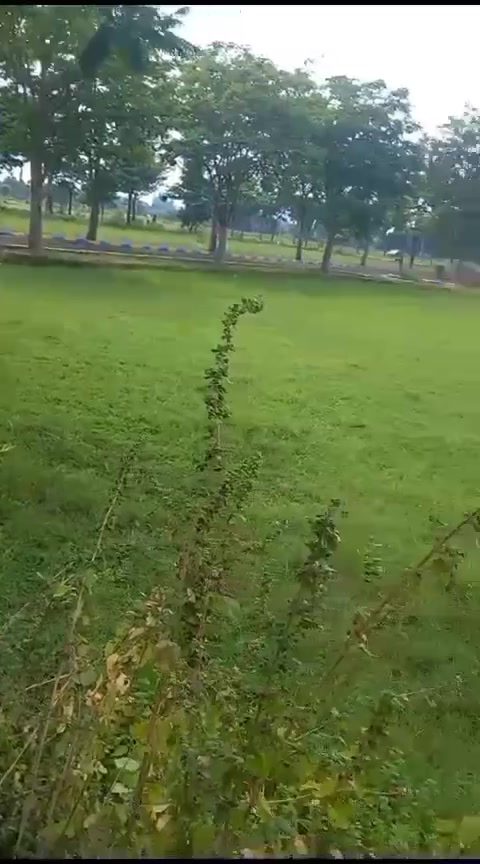 Plot For Sale  In New Tech  Project  In Chengalpattu