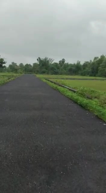 Plot For Sale  In Des Life In Deharje