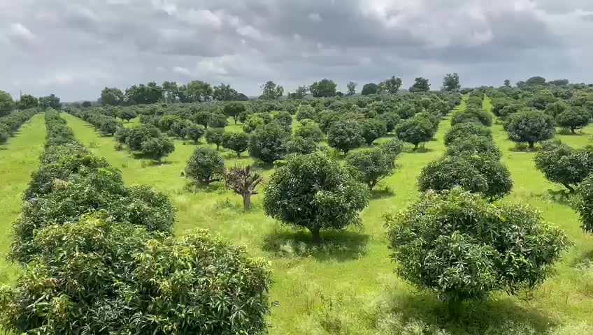 Plot For Sale  In Balanagar