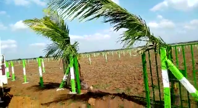 Plot For Sale  In Kingmakers In Singaperumal Koil Theradi