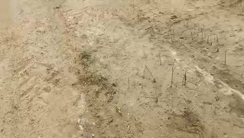 Plot For Sale  In Brundhavan Enclave In Gowrelly