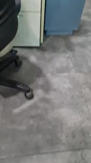 1 BHK Flat In Thane for Rent  In Thane West