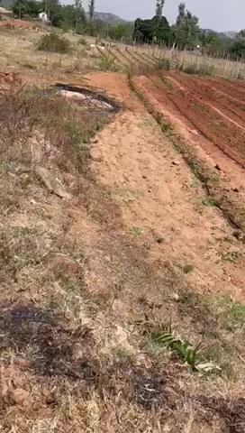 Plot For Sale  In Isha Foundation