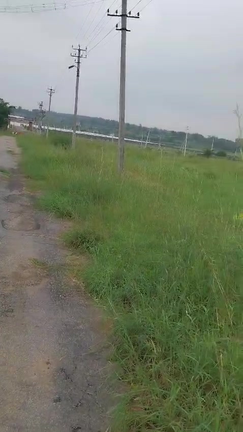 Plot For Sale  In Christ Residency Assication Layouts In Alambadi