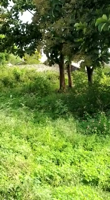 Plot For Sale  In Purasaiwakkam