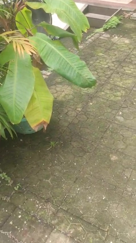 Showroom in Sanpada, Mumbai for sale 