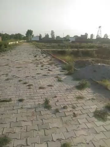 Plot For Sale  In Main Road