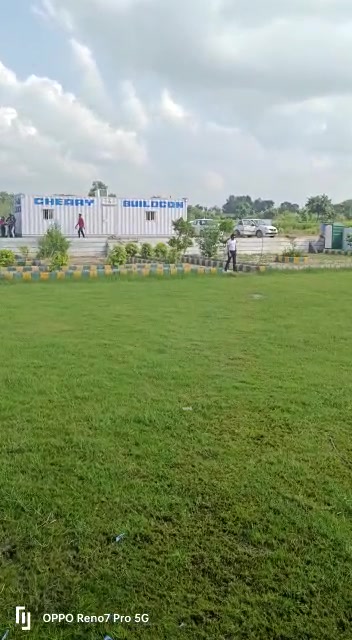 Plot For Sale  In Cheary Buildcom  In Yamuna Expressway