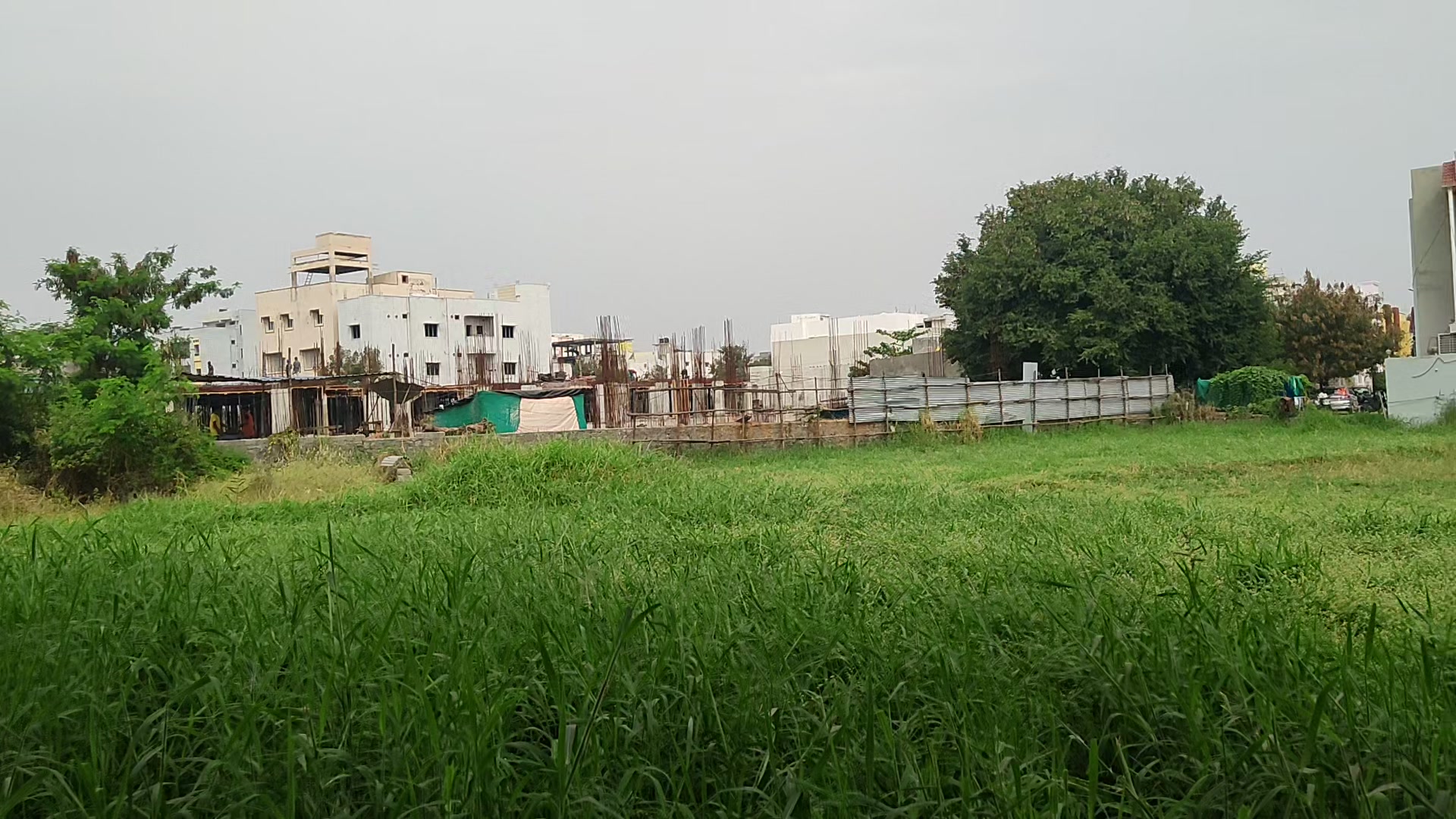 Plot For Sale  In Open Land Lease In Mapletown Road