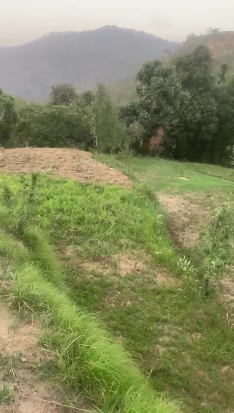 Plot For Sale  In Tha Taj Green  In Sector 2