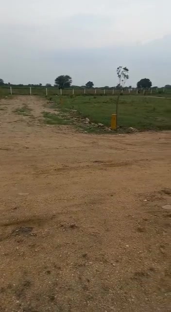 Plot For Sale  In Sawera Greenfield Town In Solipet