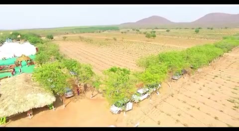 Plot For Sale  In Madhapur