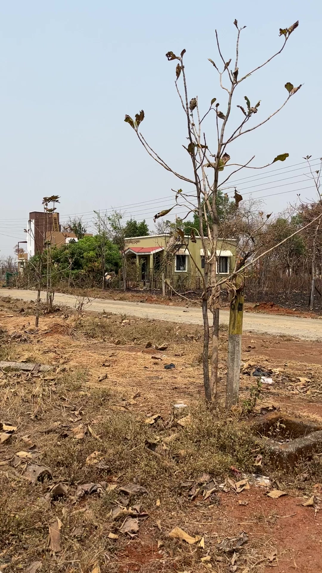 Plot For Sale  In Banjara Hills, Shahapur In Shahapur