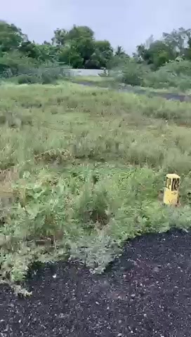 Plot For Sale  In Kolapakkam