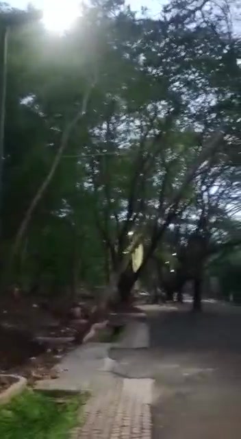 Plot For Sale  In Swamitva Floresta  In Thathaguni