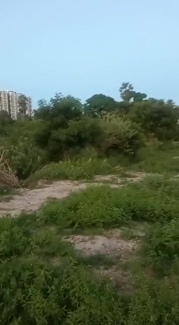 Plot For Sale  In Muthukadu