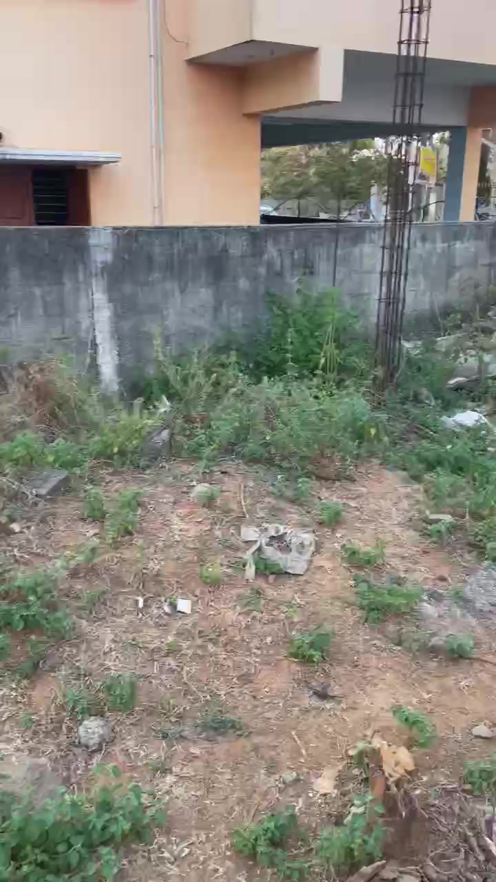 Plot For Sale  In Chromepet