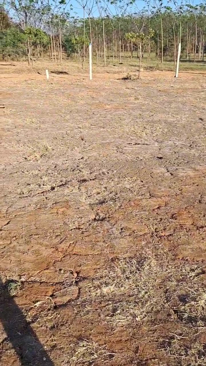 Plot For Sale  In Perigreen Organeo Farms Pvt Ltd. In Organeo Farms