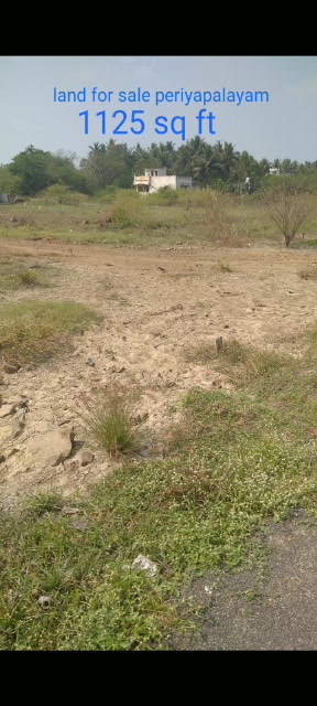 Plot For Sale  In Thiruvallur Uthukottai