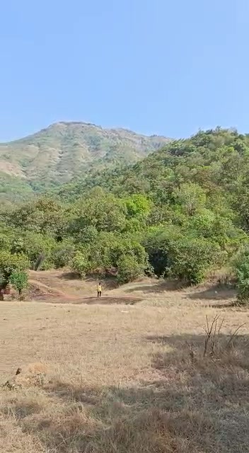 Plot For Sale  In 200 Acre Property At 5lakh Per Acre In Shivare