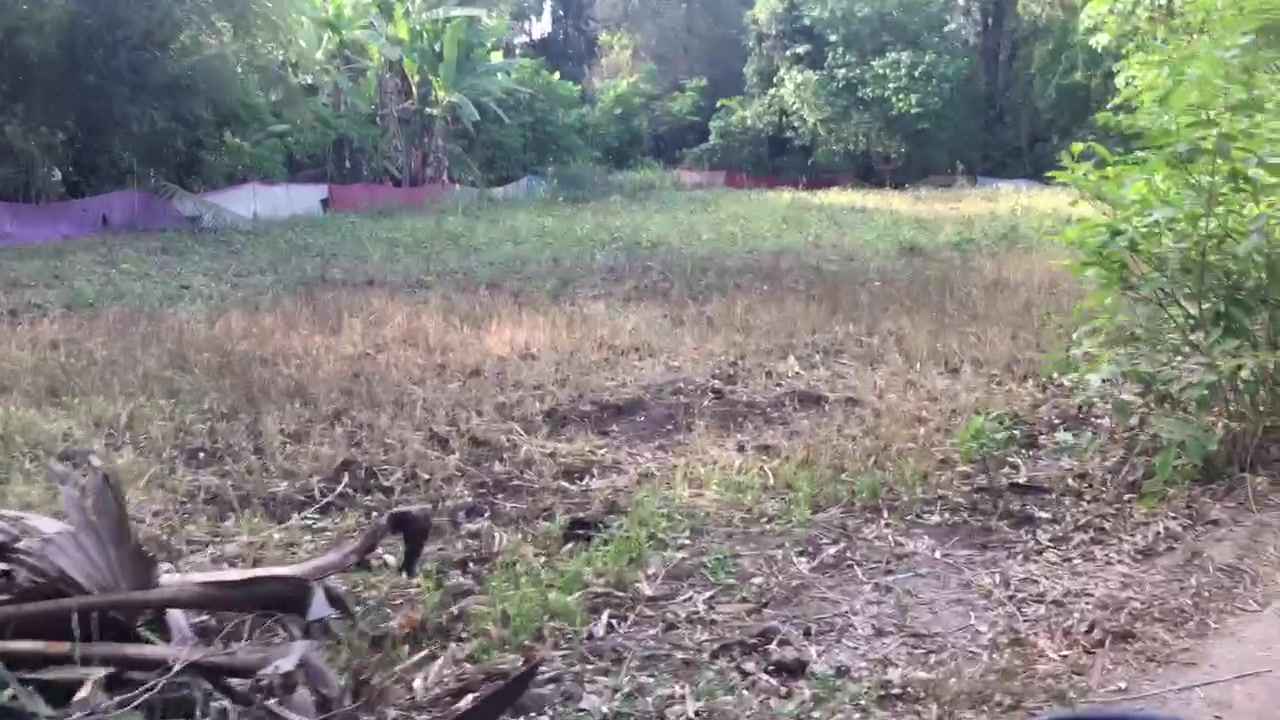 Plot For Sale  In Alibag Properties