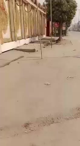 Plot For Sale  In Sector 38