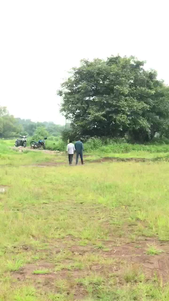 Plot For Sale  In Dhansar