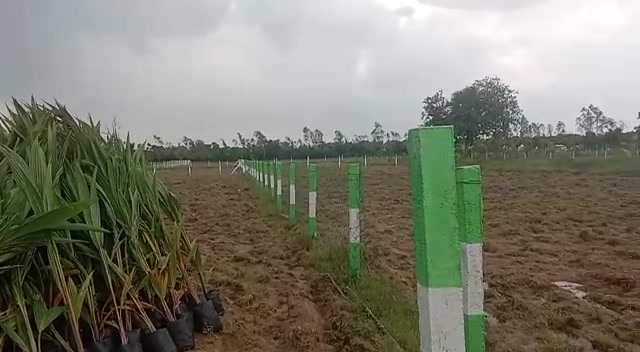 Plot For Sale  In Mannvasanai In Maraimalai Nagar