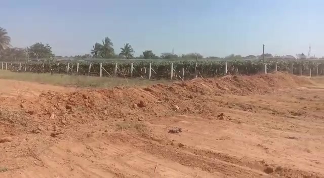 Plot For Sale  In Devanahalli