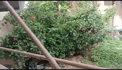 Plot For Sale  In Narayanapapa Garden  In  Rt Nagar