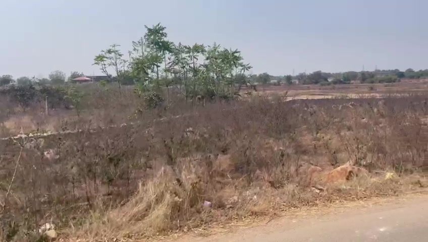 Plot For Sale  In Manda