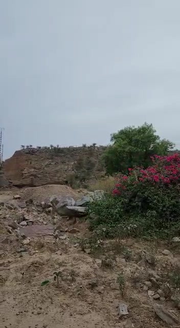 Plot For Sale  In Sohna Chowk