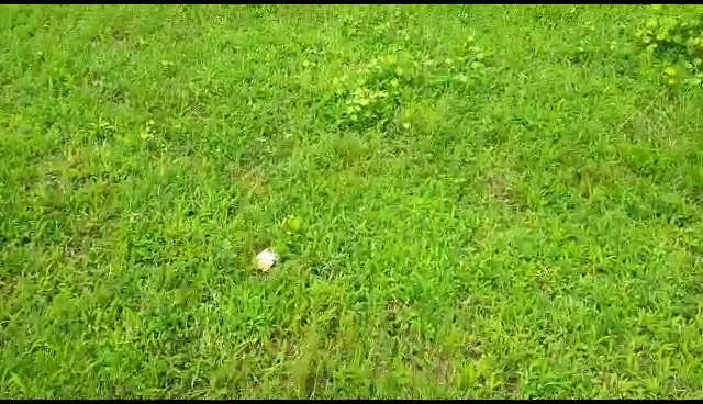 Plot For Sale  In Titwala Railway Track