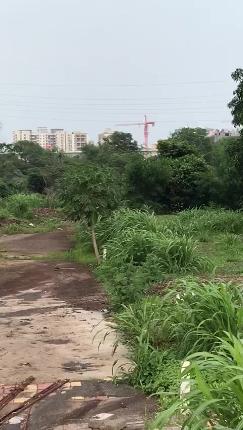 Plot For Sale  In Hirai Sitai Mandir