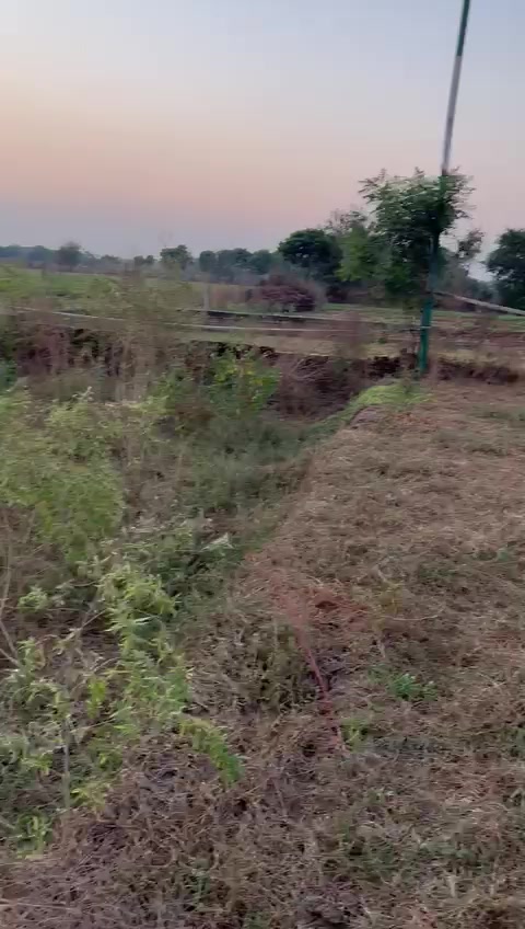 Plot For Sale  In Mdrk Group In Bhola Rawal
