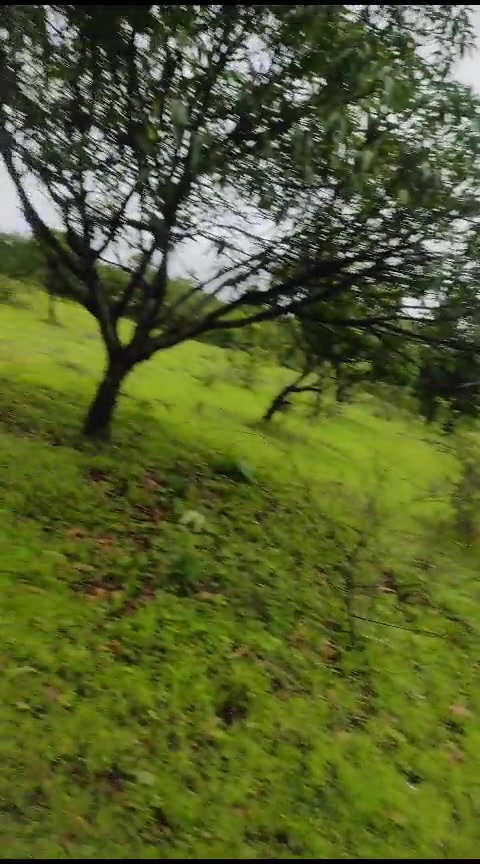 Plot For Sale  In Wada